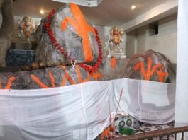 *शरद पूर्णिमा पर कटनई के पहरिया पाठ में निःशुल्क दवा वितरण कल*